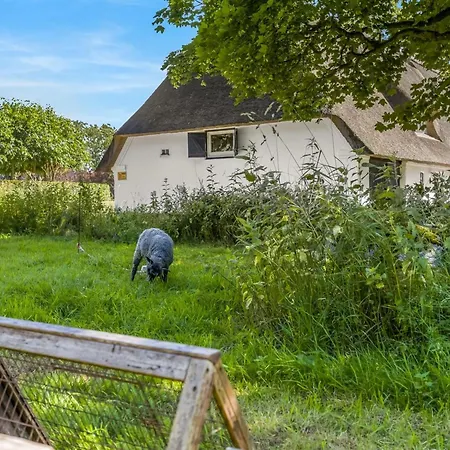 Thilo - 39km From The Sea By Interhome Branderup
